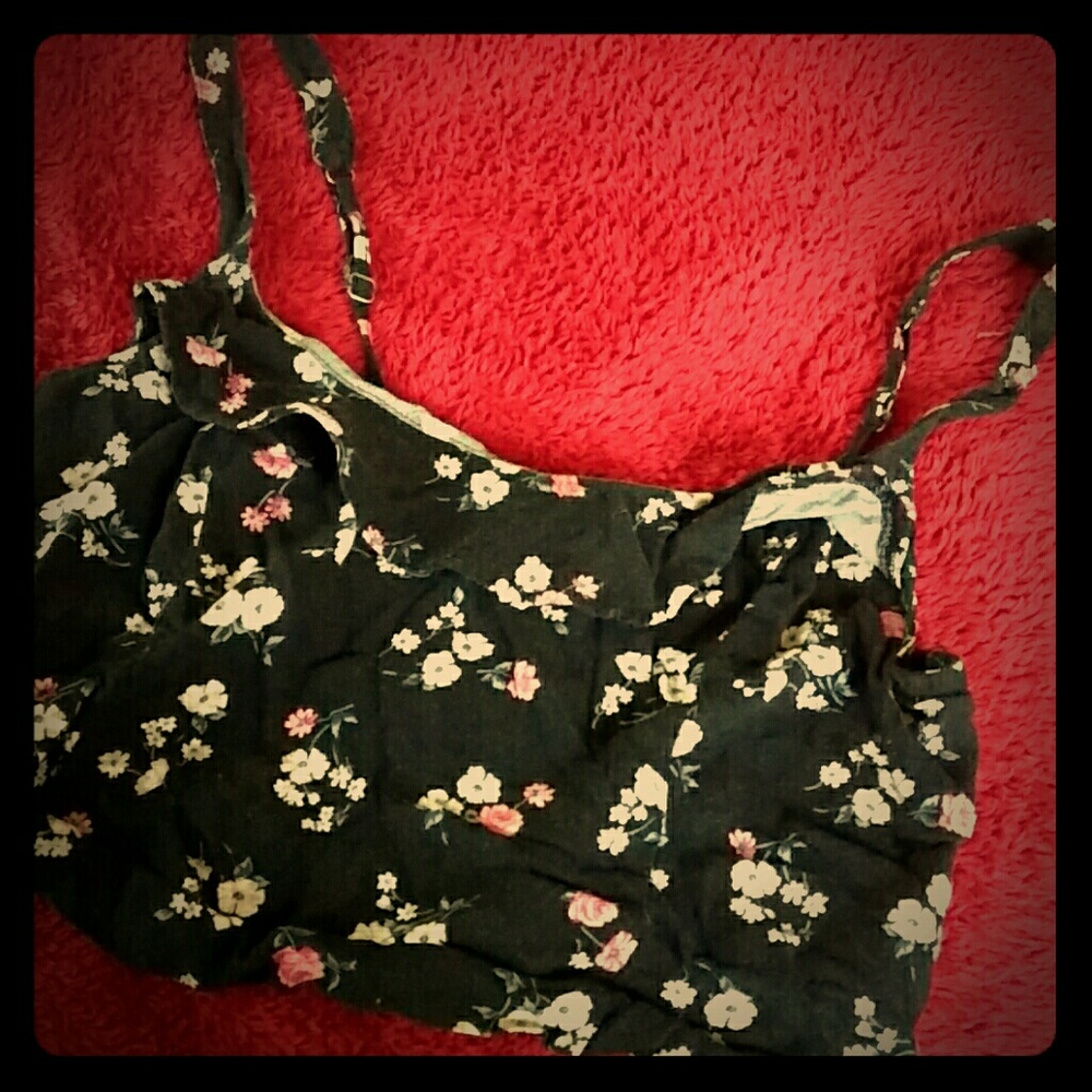 HOLLISTER CROP TANK